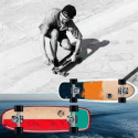 Deskorolka Fish Skateboards James Beginner 8.0"
